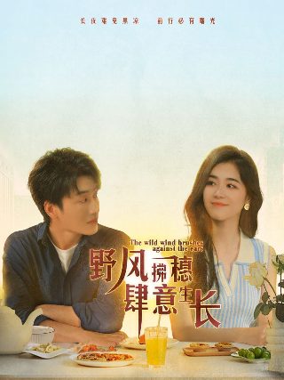 花样年华第二季剧情介绍全集下载百度云