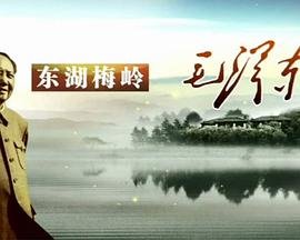 风起长林各人物结局
