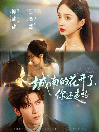 电影《功夫》在线观看中文版全集视频