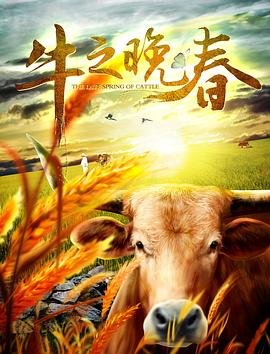 山野电视剧13集剧情介绍大结局免费观看