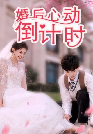 喜羊羊与灰太狼504集免费观看