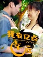 电视剧为情所困