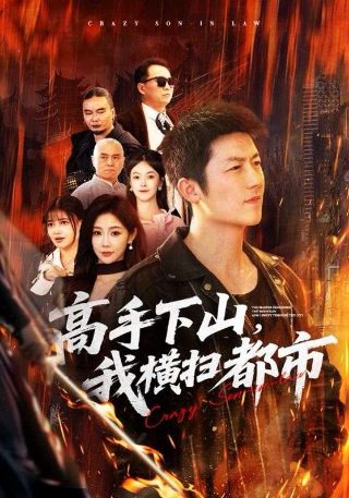 《柳舟记》高清观看视频下载全集电影免费版