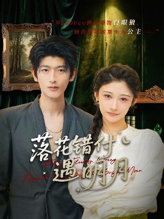 电影单身男女简介
