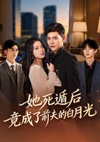 非缘勿扰电视剧在线免费看