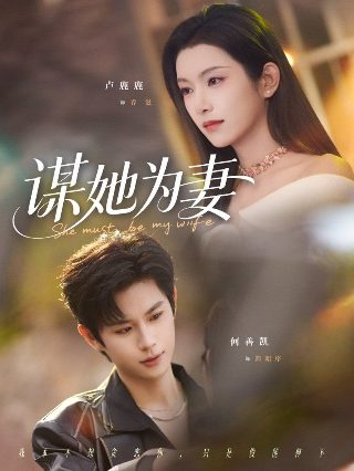 爱的港湾主演名单是谁啊