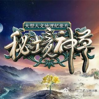 恋爱的夏天第二季电视剧