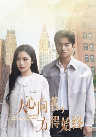 安公公怀孕了 大结局是什么电视剧啊第几集