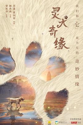 非典人生粤语版下载百度云盘