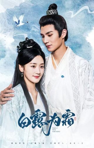 拂晓之街dvd