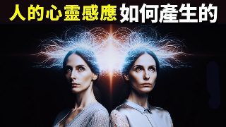 《好命先生》分集剧情介绍大结局视频播放下载