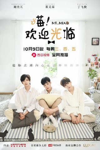 身边的幸福20集免费观看