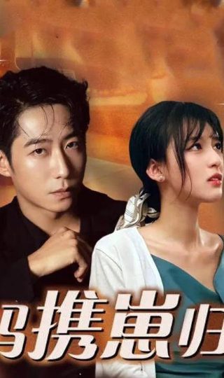 萌宝特工免费播放完整版电视剧在线观看高清