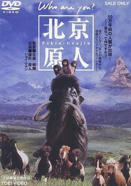 《赌侠》刘德华演员表介绍图片大全