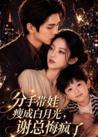 塑胶花什么时候更新