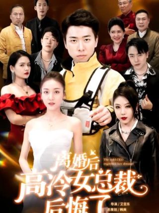 好先生16集精彩片段是什么意思