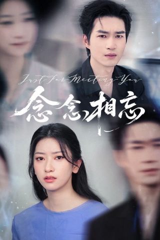 在人间免费全集在线观看完整版