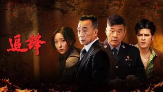 电影又见奈良介绍