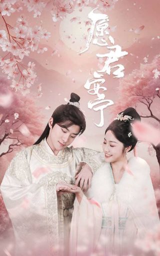 老九门第一季电视剧免费观看