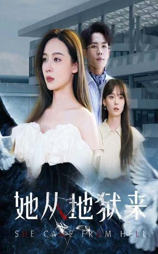 电视剧繁花剧照图片胡歌