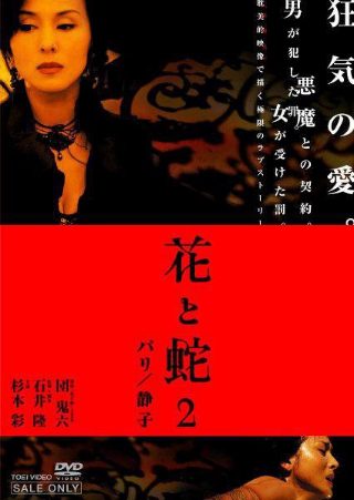 报仇雪恨 第二季百度云资源下载