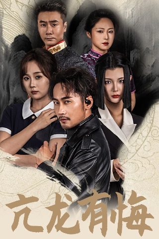 哈佛爱情故事在线播放