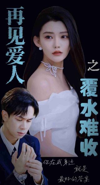 偏偏爱上你2碟光盘