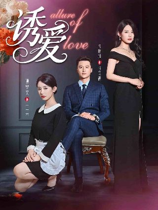 等风热吻你电视剧在哪看全集免费