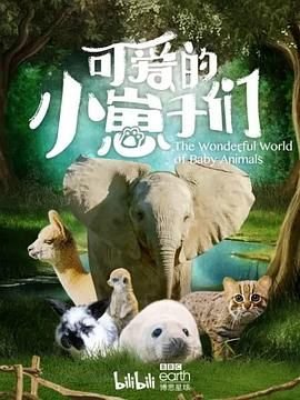 房子传宗接代三件套