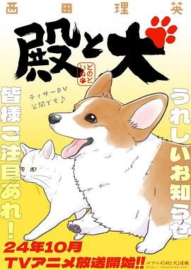 《心火》影评视频播放在线观看免费