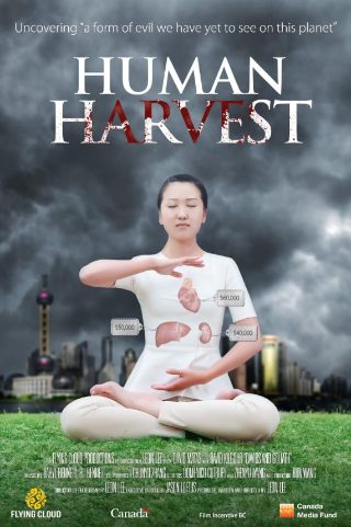 斗罗大陆195集完整版高清