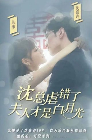 假面骑士利维斯41集免费观看视频