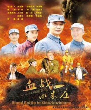 阿麦从军 豆瓣 电视剧
