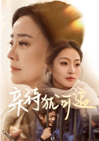 离婚大作战短剧AI免费观看