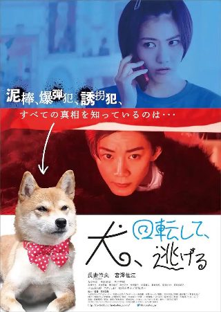 枪火2014电视剧