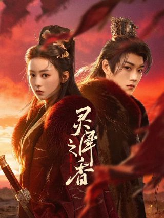 新三国免费在线观看完整版