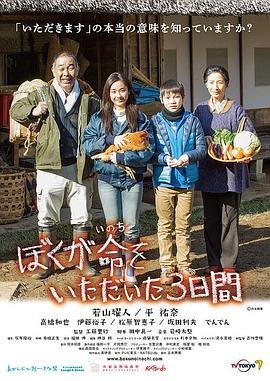 红岩电影演员表大全介绍视频