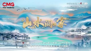 《一生一世》电影免费播放全集高清