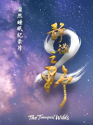 照亮你30集在线观看免费