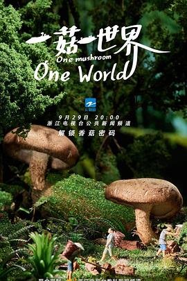 鲁滨逊漂流记读后感1000字