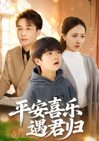 下一站幸福12集完整版