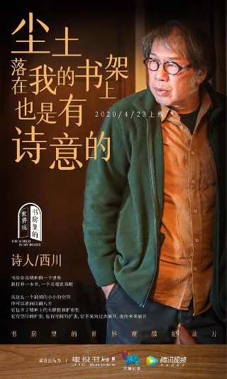 《追龙》续集演员表大全介绍视频讲解下载
