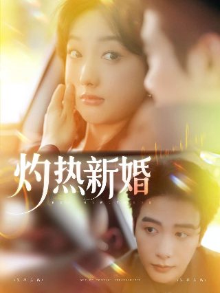 禁运品2024中英双字韩国
