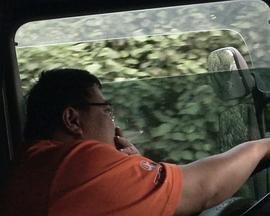 侦探的故事百度云资源