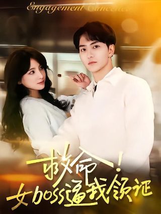 你的婚礼预告片在线观看免费高清