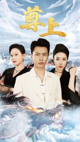 《天才在左疯子在右》书