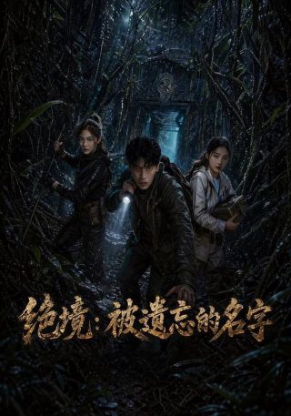 2020风声电视剧免费完整版在线观看