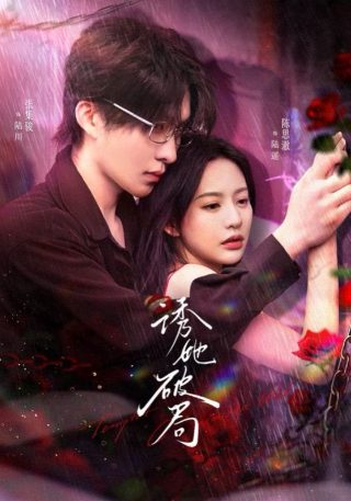 人偶新娘在线观看中文免费