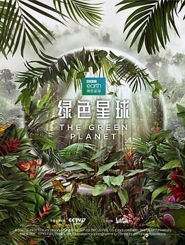《弯刀》电影演员表介绍图片高清