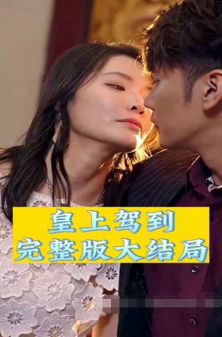 绝对忠诚电视剧免费观看全集剧情
